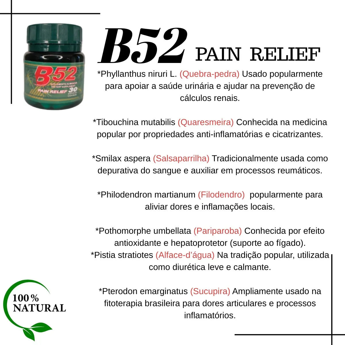 2 Potes B52 Pain Relief Original Suplemento 30 Caps